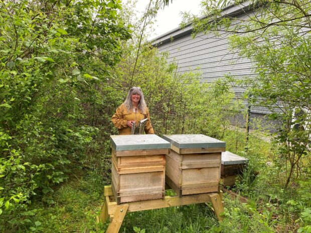 A member of DVLA's Sustainability Team with the bee hives on DVLA's estate,